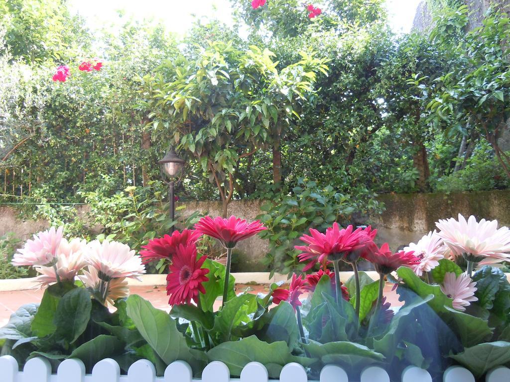 Certe Notti - Suites ปอมเปอี ภายนอก รูปภาพ